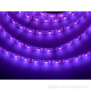 12V Flexible Led strip Full Color